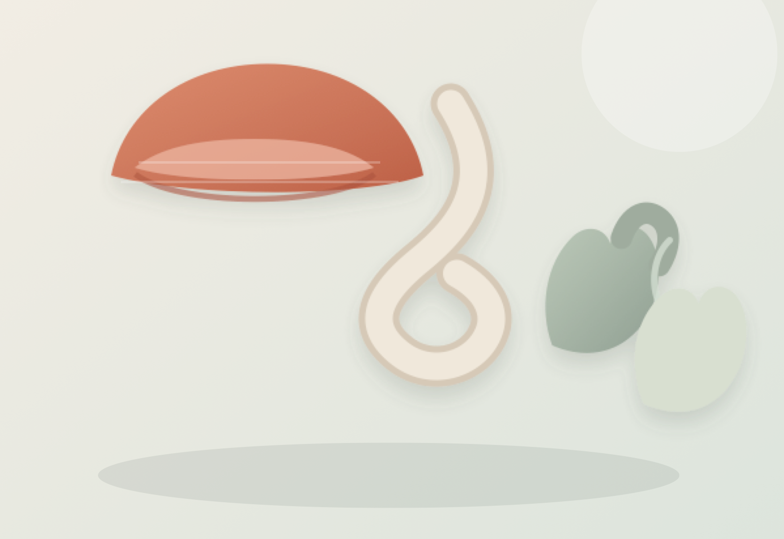 Hats, scarves, gloves and fashion accessories