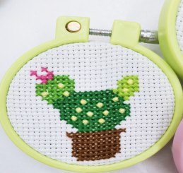 Cactus Embroidery Kit with 7 cm Frame